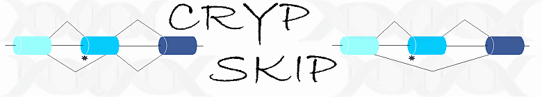 cryp-skip banner