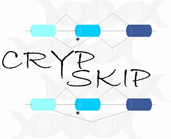 cryp-skip logo